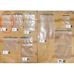 SACHET ZIP 40x60mm (100...