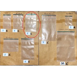 SACHET ZIP 60x80mm (100...